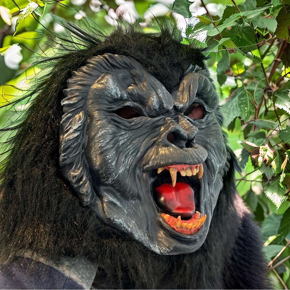 Kevin’s ACTUAL gorilla suit from Season 8 of ‘The Office’ not a replica, THE one